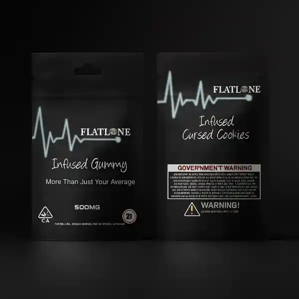 Custom Printed CR Exit Bags  12 x 9 x 3"